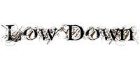 Logo Low Down